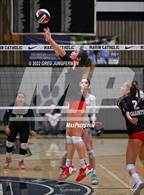 Photo from the gallery "Redwood @ Marin Catholic"