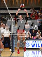 Photo from the gallery "Redwood @ Marin Catholic"