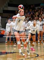 Photo from the gallery "Redwood @ Marin Catholic"