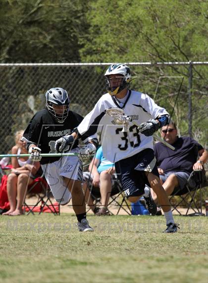 Thumbnail 2 in Hamilton @ Oro Valley [Canyon del Oro/Ironwood Ridge/Marana] photogallery.