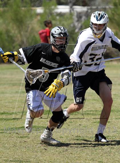 Thumbnail 2 in Hamilton @ Oro Valley [Canyon del Oro/Ironwood Ridge/Marana] photogallery.