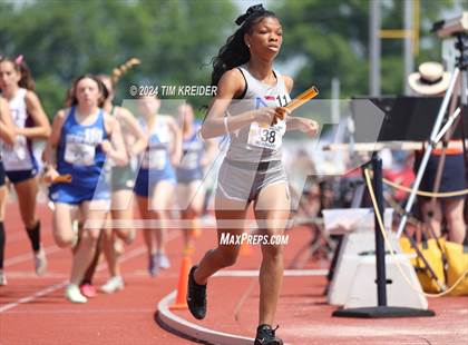 Thumbnail 3 in PIAA State Track and Field Championships photogallery.