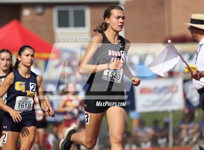 Thumbnail 1 in PIAA State Track and Field Championships photogallery.