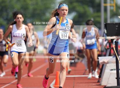 Thumbnail 3 in PIAA State Track and Field Championships photogallery.