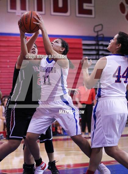 Thumbnail 3 in Palmview @ Edinburg photogallery.