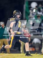 Photo from the gallery "Santo @ Chico"