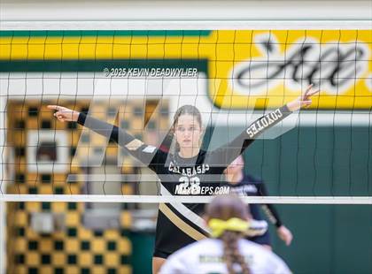 Thumbnail 1 in Calabasas @ Moorpark photogallery.