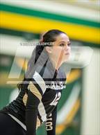 Photo from the gallery "Calabasas @ Moorpark"