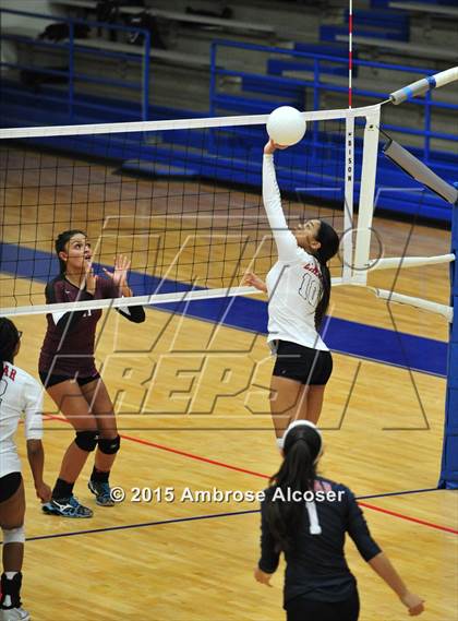 Thumbnail 2 in Reagan vs Lamar (34th Annual Houston ISD Varsity Volleyball Tournament) photogallery.