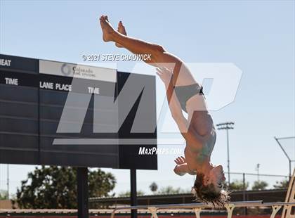 Thumbnail 3 in AIA Division II Diving Semifinals  photogallery.
