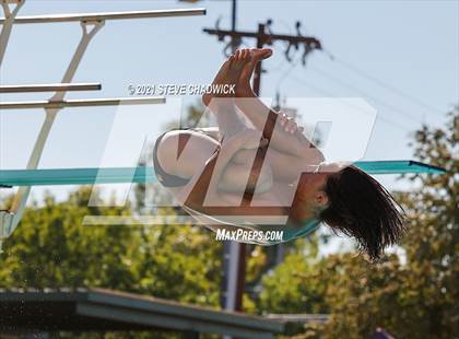 Thumbnail 3 in AIA Division II Diving Semifinals  photogallery.