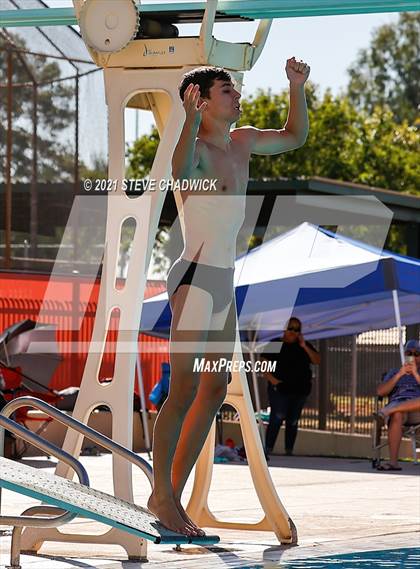 Thumbnail 2 in AIA Division II Diving Semifinals  photogallery.