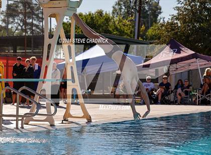 Thumbnail 2 in AIA Division II Diving Semifinals  photogallery.