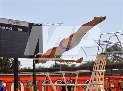 Thumbnail 3 in AIA Division II Diving Semifinals  photogallery.