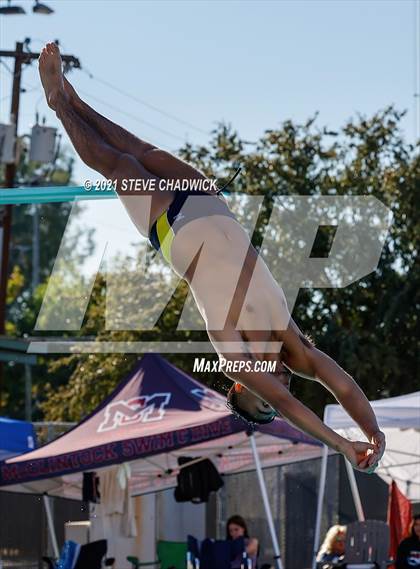 Thumbnail 1 in AIA Division II Diving Semifinals  photogallery.