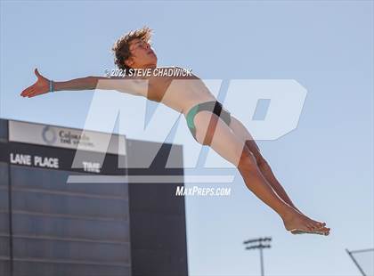 Thumbnail 3 in AIA Division II Diving Semifinals  photogallery.