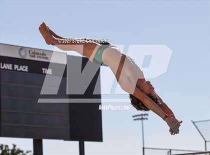 Thumbnail 3 in AIA Division II Diving Semifinals  photogallery.