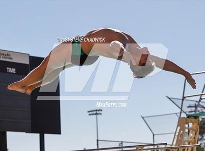 Thumbnail 2 in AIA Division II Diving Semifinals  photogallery.