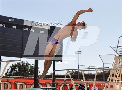 Thumbnail 2 in AIA Division II Diving Semifinals  photogallery.