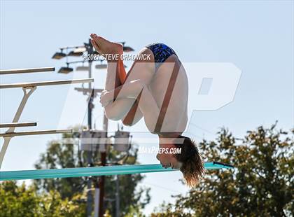 Thumbnail 3 in AIA Division II Diving Semifinals  photogallery.