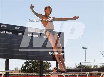 Thumbnail 3 in AIA Division II Diving Semifinals  photogallery.