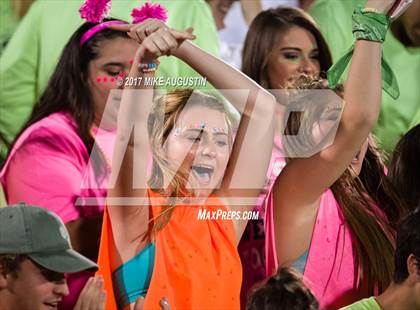 Thumbnail 3 in Lone Star @ Wakeland photogallery.