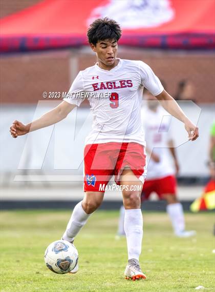 Thumbnail 1 in Western Harnett @ Terry Sanford photogallery.