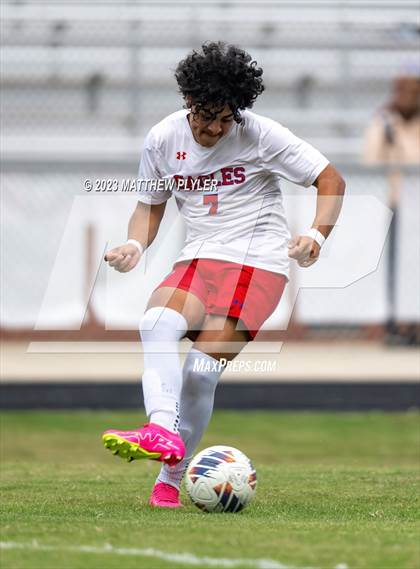 Thumbnail 1 in Western Harnett @ Terry Sanford photogallery.
