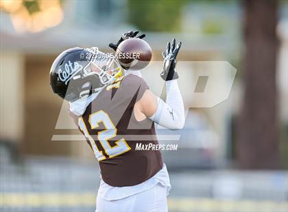 Thumbnail 2 in Paraclete @ Crespi photogallery.