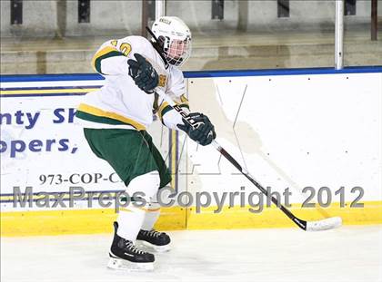 Thumbnail 2 in Jefferson @ Morris Knolls photogallery.