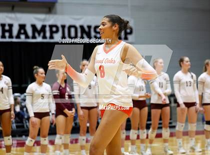 Thumbnail 3 in Grand Oaks vs. Cinco Ranch (UIL 6A Volleyball Final) photogallery.