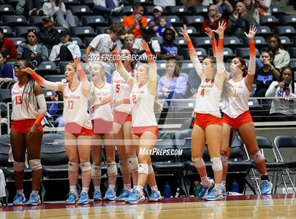 Thumbnail 1 in Grand Oaks vs. Cinco Ranch (UIL 6A Volleyball Final) photogallery.
