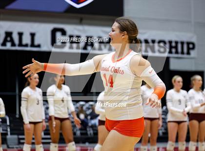Thumbnail 1 in Grand Oaks vs. Cinco Ranch (UIL 6A Volleyball Final) photogallery.