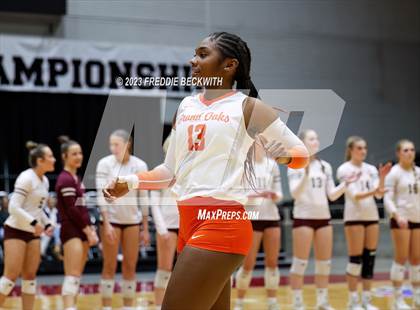 Thumbnail 3 in Grand Oaks vs. Cinco Ranch (UIL 6A Volleyball Final) photogallery.