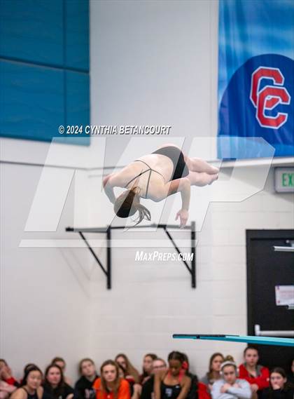 Thumbnail 2 in Cherry Creek vs Regis Jesuit (Dive) photogallery.