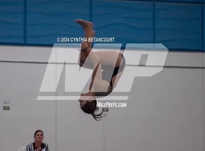 Thumbnail 3 in Cherry Creek vs Regis Jesuit (Dive) photogallery.