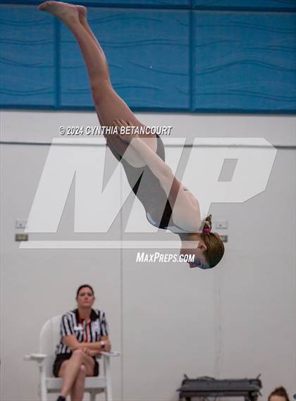 Thumbnail 3 in Cherry Creek vs Regis Jesuit (Dive) photogallery.