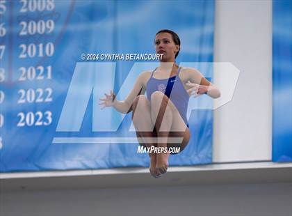 Thumbnail 1 in Cherry Creek vs Regis Jesuit (Dive) photogallery.