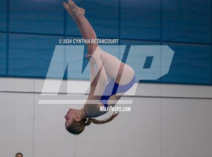Thumbnail 2 in Cherry Creek vs Regis Jesuit (Dive) photogallery.