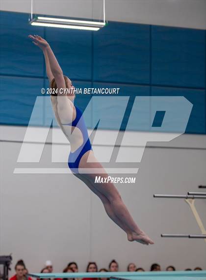 Thumbnail 2 in Cherry Creek vs Regis Jesuit (Dive) photogallery.