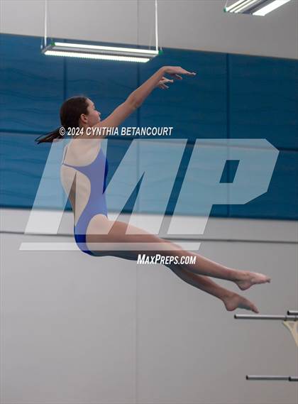 Thumbnail 1 in Cherry Creek vs Regis Jesuit (Dive) photogallery.