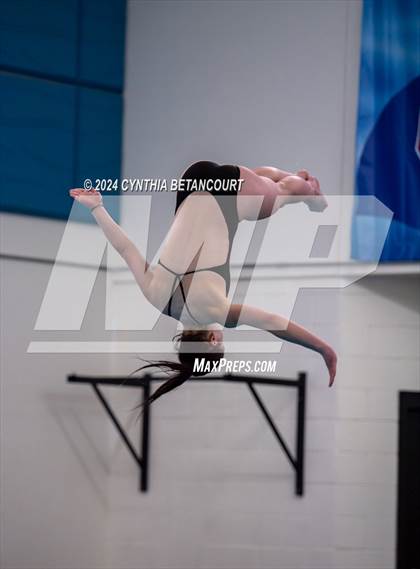 Thumbnail 1 in Cherry Creek vs Regis Jesuit (Dive) photogallery.