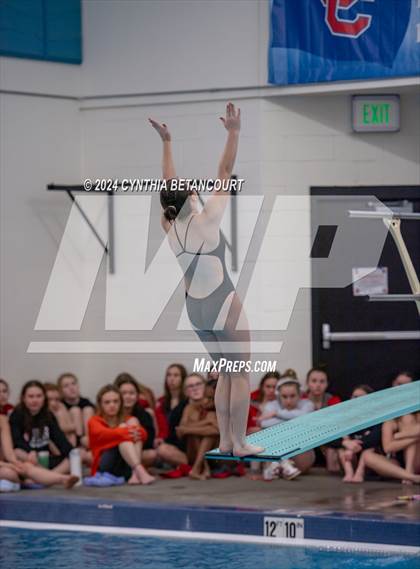 Thumbnail 1 in Cherry Creek vs Regis Jesuit (Dive) photogallery.