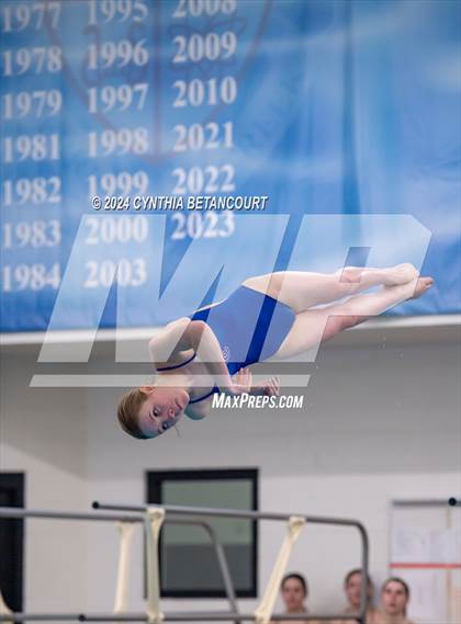 Thumbnail 3 in Cherry Creek vs Regis Jesuit (Dive) photogallery.