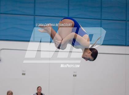 Thumbnail 2 in Cherry Creek vs Regis Jesuit (Dive) photogallery.