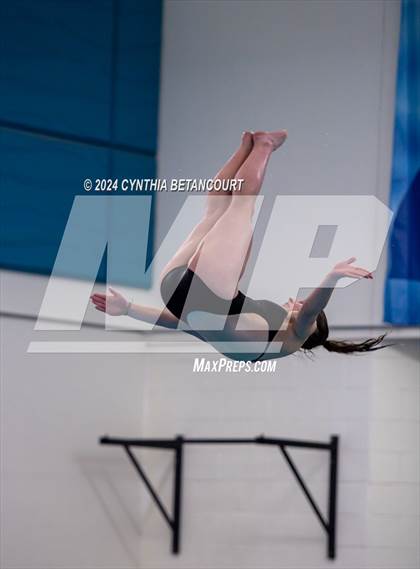 Thumbnail 2 in Cherry Creek vs Regis Jesuit (Dive) photogallery.