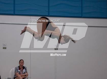 Thumbnail 1 in Cherry Creek vs Regis Jesuit (Dive) photogallery.