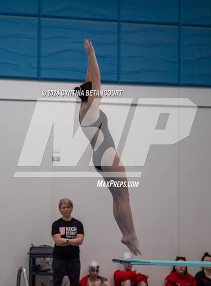 Thumbnail 1 in Cherry Creek vs Regis Jesuit (Dive) photogallery.