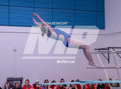 Thumbnail 1 in Cherry Creek vs Regis Jesuit (Dive) photogallery.