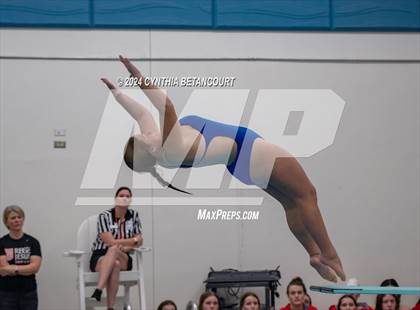 Thumbnail 1 in Cherry Creek vs Regis Jesuit (Dive) photogallery.